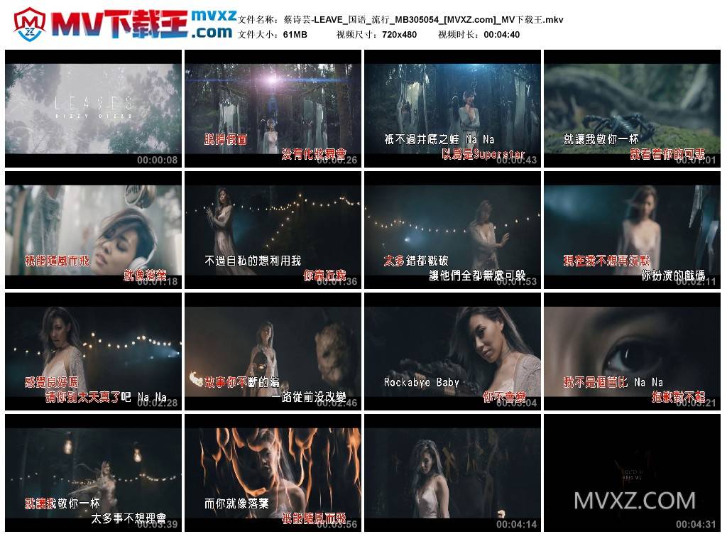 蔡诗芸-LEAVE_国语_流行_MB305054